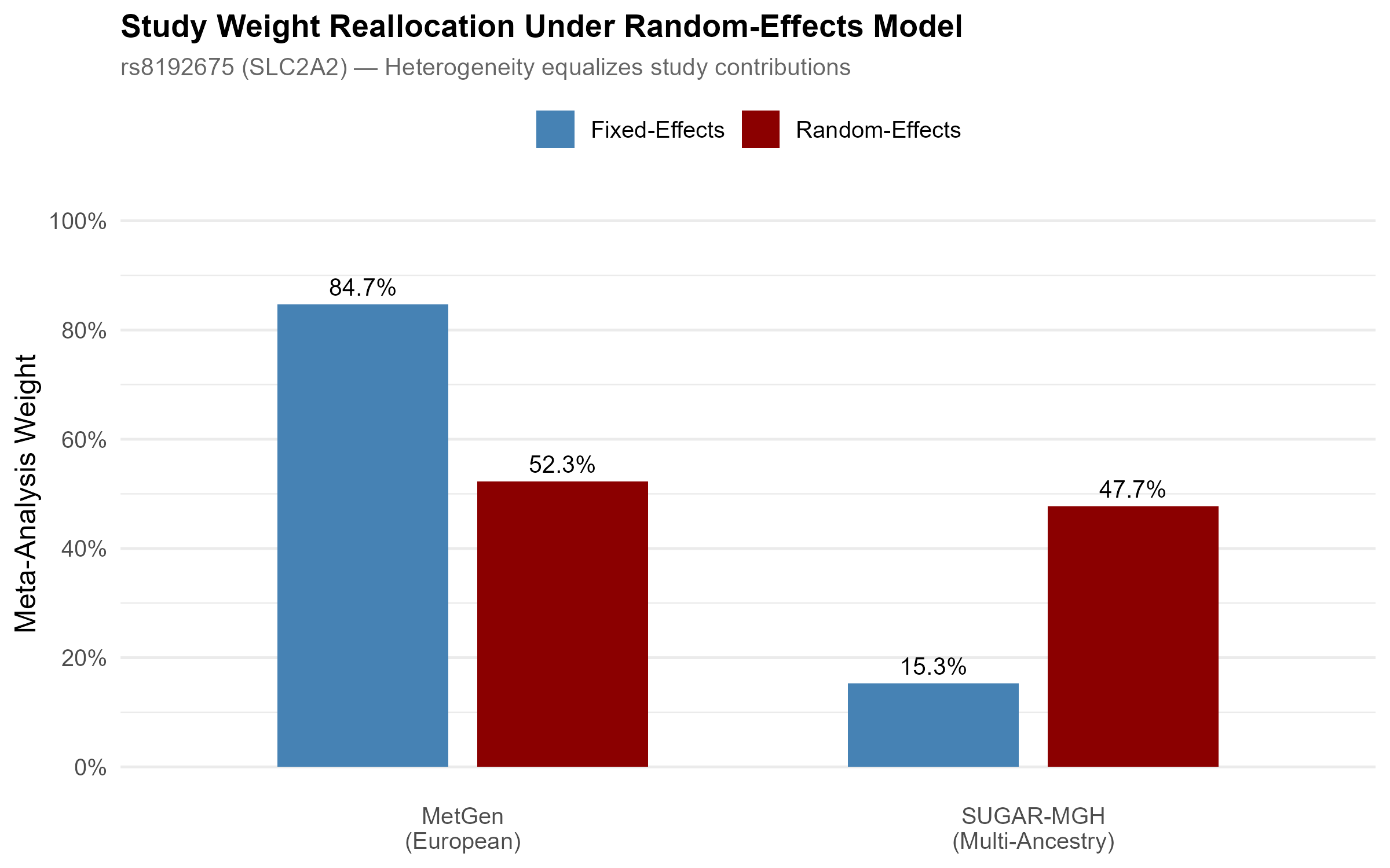 Grouped bar chart comparing fixed-effects and random-effects weights for the two studies, showing the European study's weight dropping and the multi-ancestry study's weight rising.